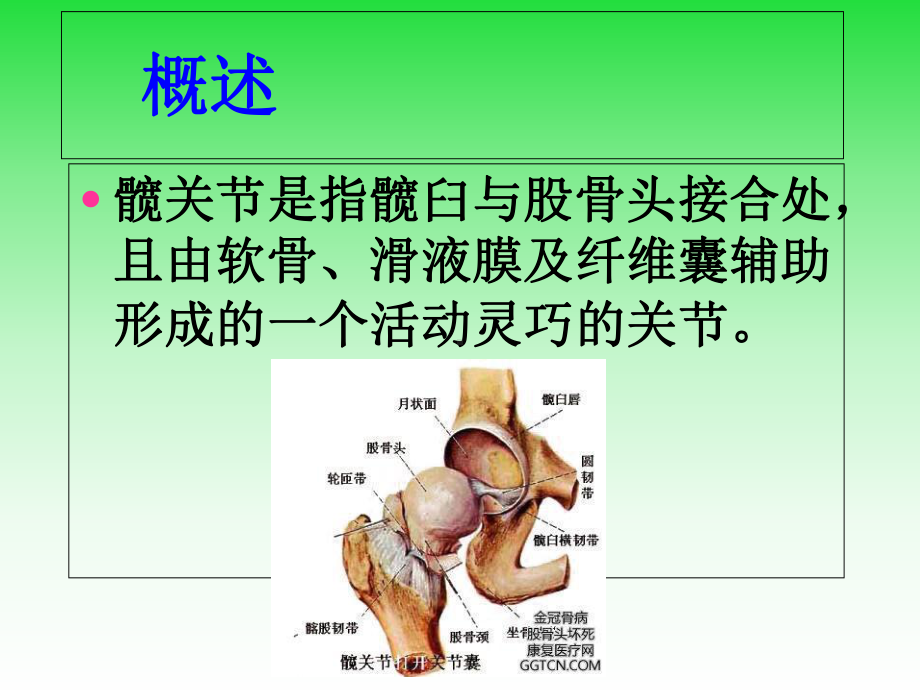 髋关节置换术后的护理课件.ppt_第3页