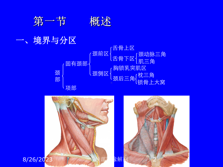 颈部影像解剖培训课件.ppt_第2页