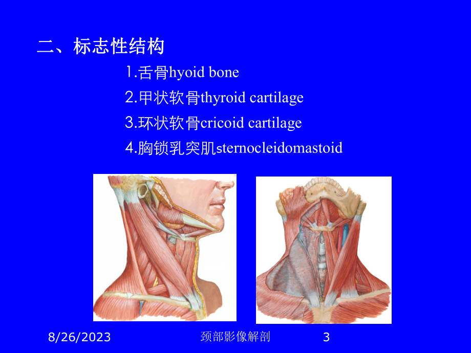 颈部影像解剖培训课件.ppt_第3页