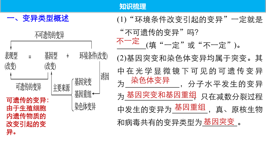 高中生物必修二生物的变异期末复习课件.pptx_第2页