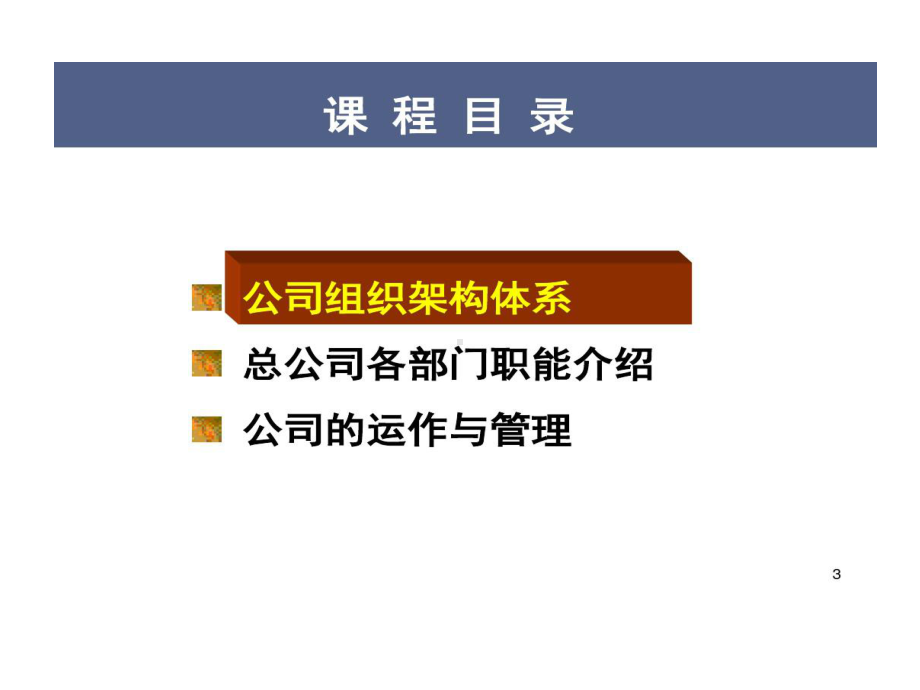 寿险公司组织架构与运作管理课程.ppt_第3页