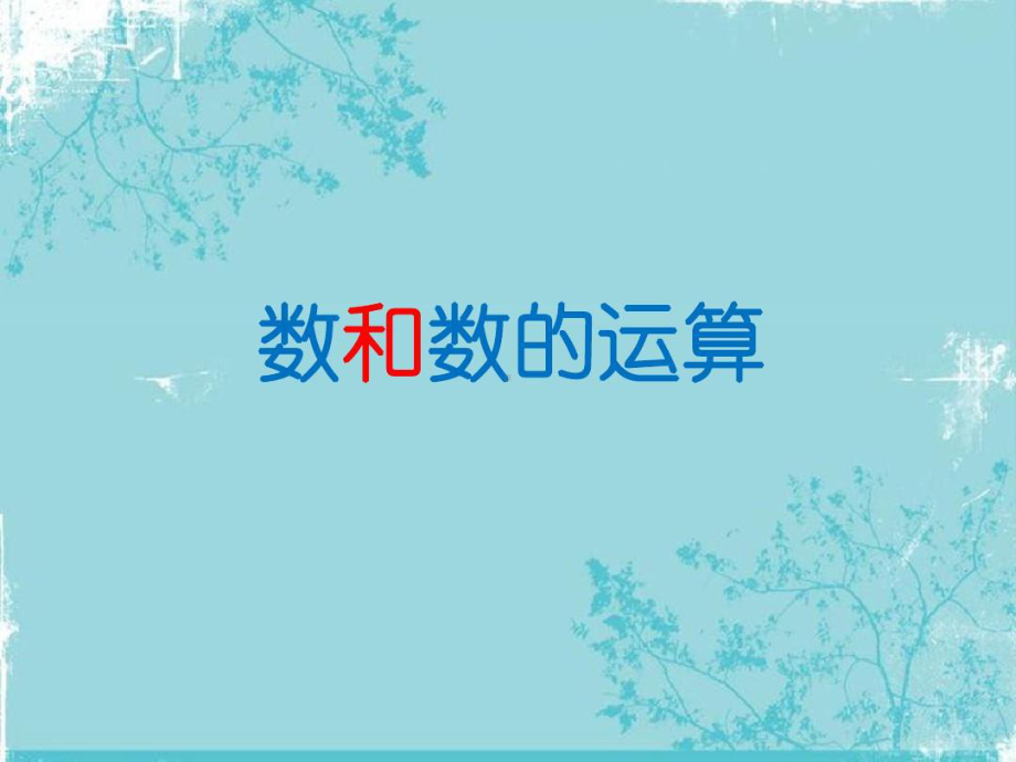 小学数学小升初数和数的运算.ppt_第2页