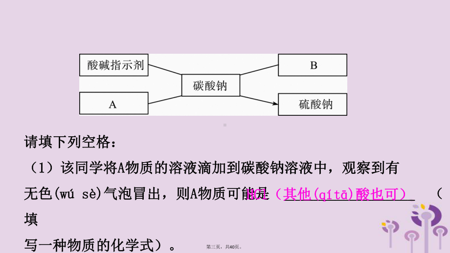 山东省滨州市中考化学一轮复习-第八单元-海水中的化学-第2课时-盐及其性质课件.pptx_第3页