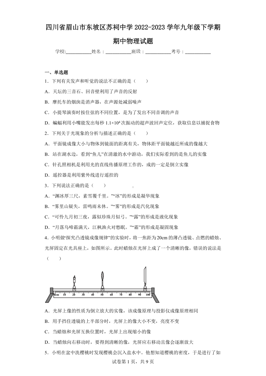 四川省眉山市东坡区苏祠中学2022-2023学年九年级下学期期中物理试题.docx_第1页