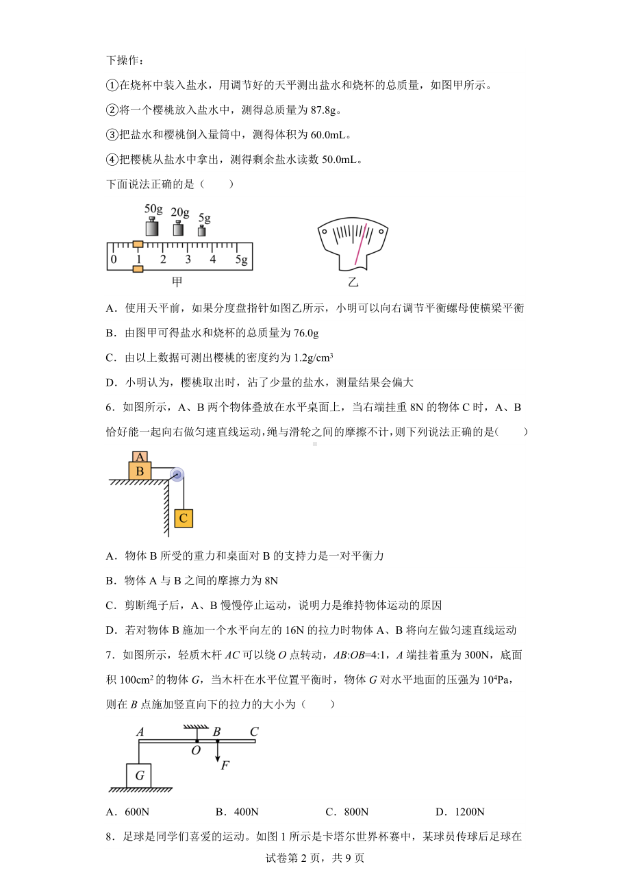 四川省眉山市东坡区苏祠中学2022-2023学年九年级下学期期中物理试题.docx_第2页