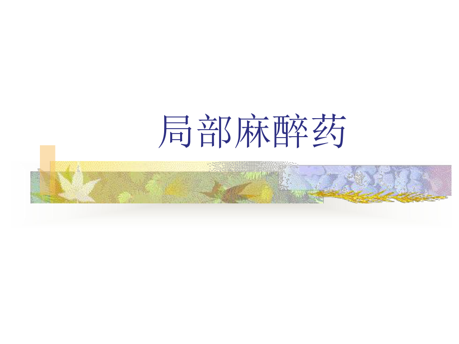 局部麻醉药和局部麻醉(住院医师规范化培训讲课).ppt_第2页