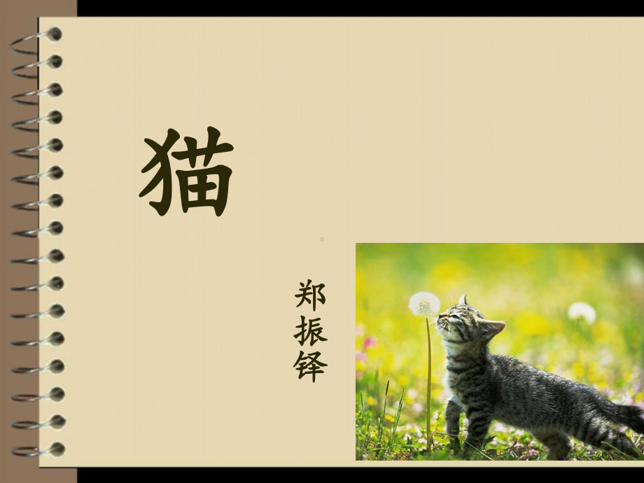 第16课《猫》ppt课件（共26张ppt）-（部）统编版七年级上册《语文》.pptx_第2页