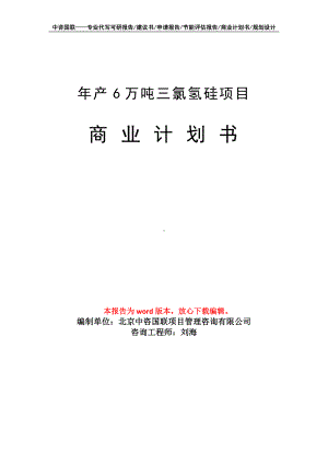 年产6万吨三氯氢硅项目商业计划书写作模板-融资.doc