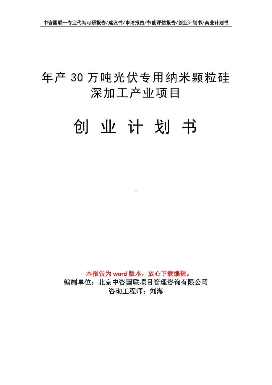 年产30万吨光伏专用纳米颗粒硅深加工产业项目创业计划书写作模板.doc_第1页