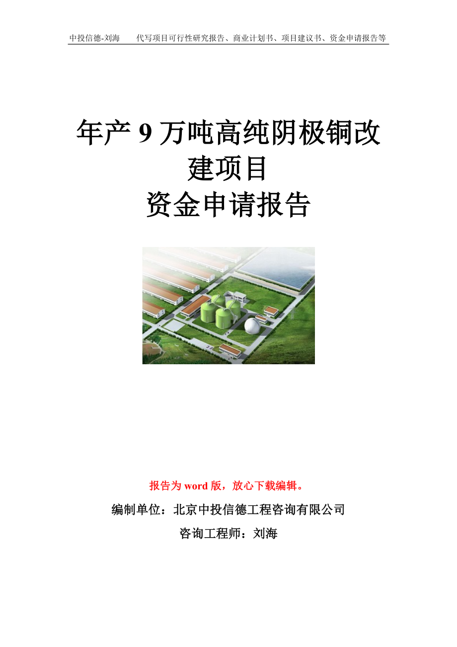 年产9万吨高纯阴极铜改建项目资金申请报告模板.doc_第1页