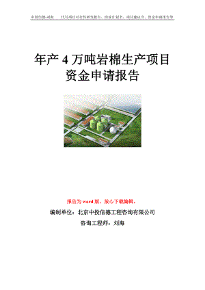 年产4万吨岩棉生产项目资金申请报告模板.doc