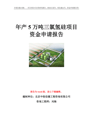 年产5万吨三氯氢硅项目资金申请报告模板.doc