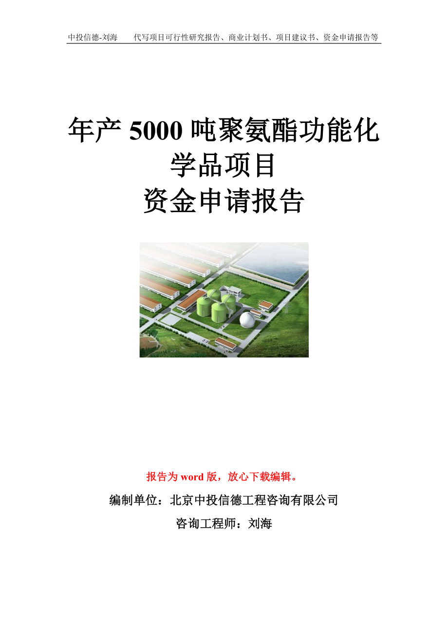 年产5000吨聚氨酯功能化学品项目资金申请报告模板.doc_第1页