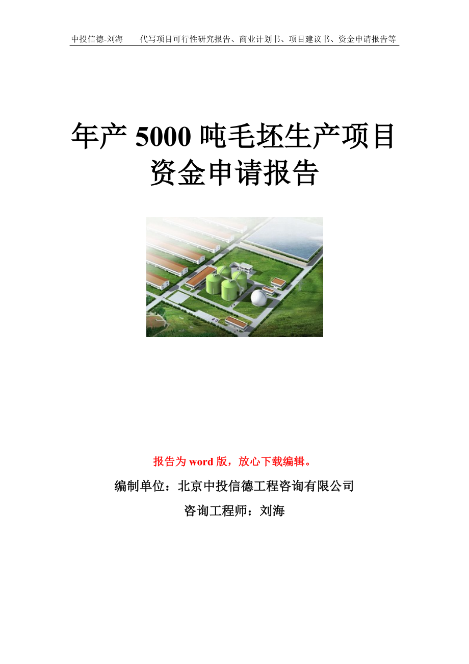 年产5000吨毛坯生产项目资金申请报告模板.doc_第1页