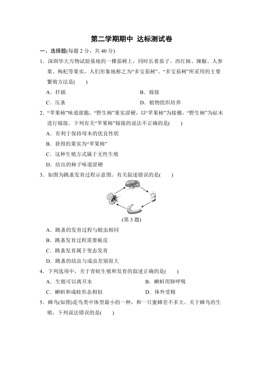 人教版生物八年级下册第二学期期中 达标测试卷 （含答案）.doc_第1页