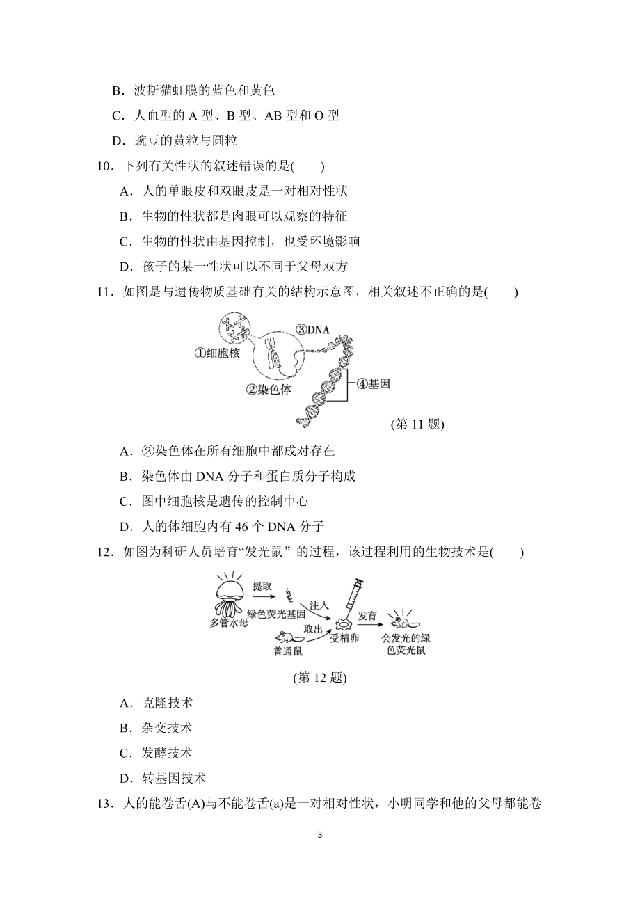 人教版生物八年级下册第二学期期中 达标测试卷 （含答案）.doc_第3页