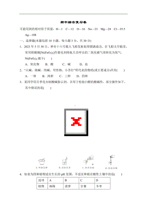 期中综合复习卷 2022-2023学年鲁教版化学九年级下册.doc