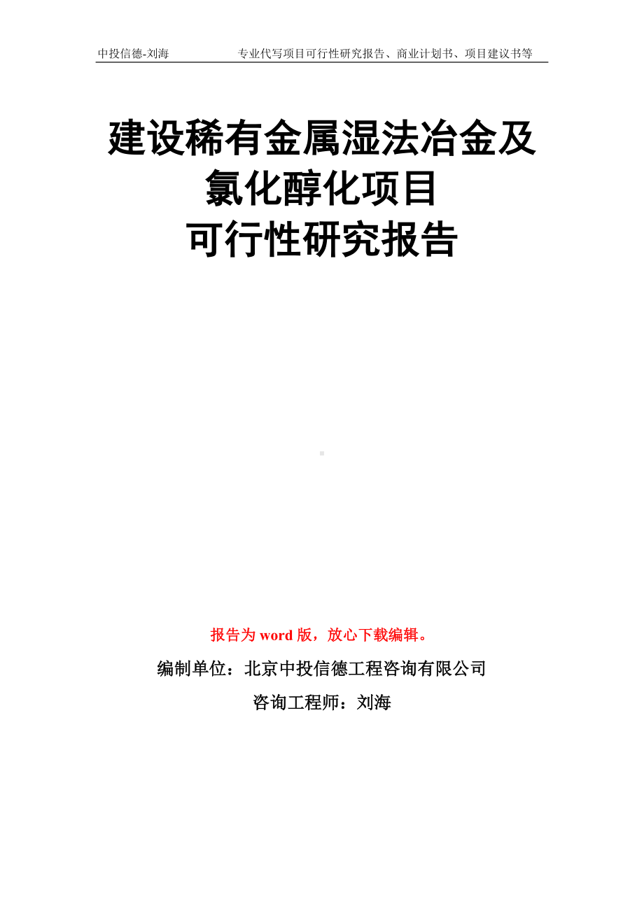 建设稀有金属湿法冶金及氯化醇化项目可行性研究报告模板.doc_第1页