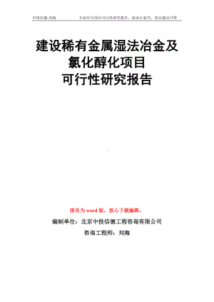 建设稀有金属湿法冶金及氯化醇化项目可行性研究报告模板.doc