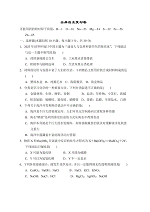 全册自主复习卷 2022-2023学年鲁教版化学九年级下册.doc