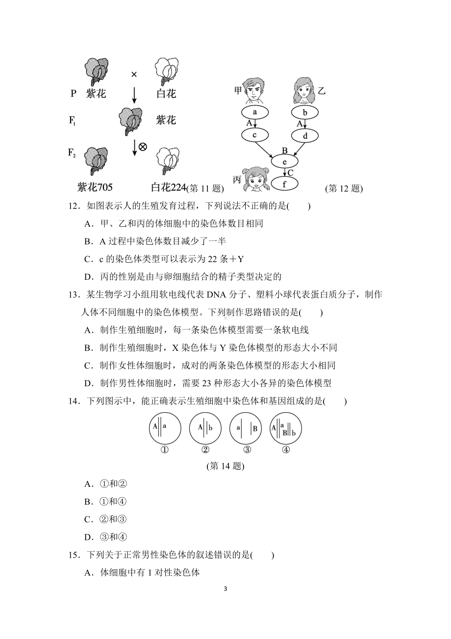 人教版生物八年级下册第七单元第二章 达标测试卷 （含答案）.doc_第3页