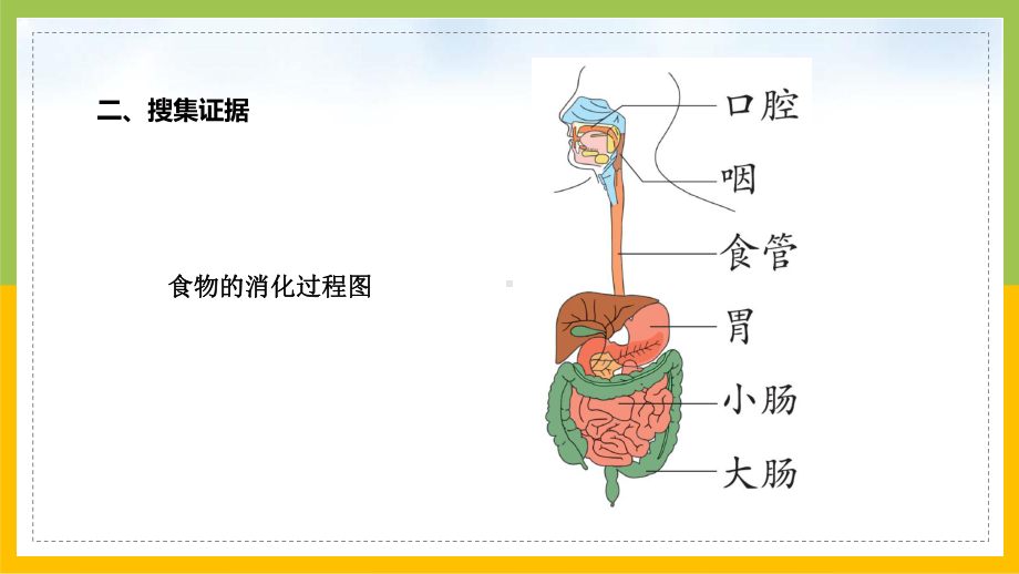 大象版四年级上册科学5-1《一次神奇的旅行》课件.pptx_第3页