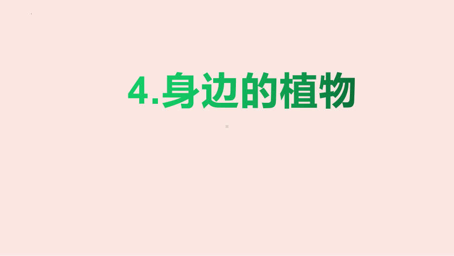 2.4 身边的植物 ppt课件-2023新冀人版（2017秋）一年级上册《科学》.pptx_第1页