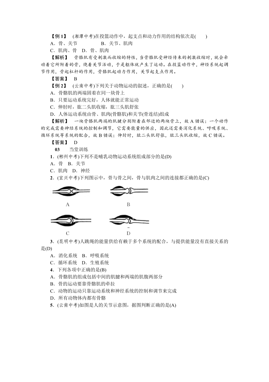 人教八年级生物上册第二章动物的运动和行为1第一节动物的运动.doc_第2页