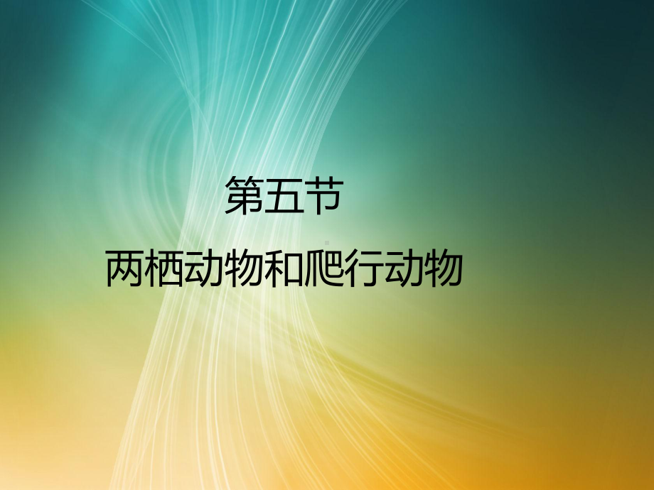 人教八年级生物上册第一章动物的主要类群第五节两栖动物和爬行动物.pptx_第1页