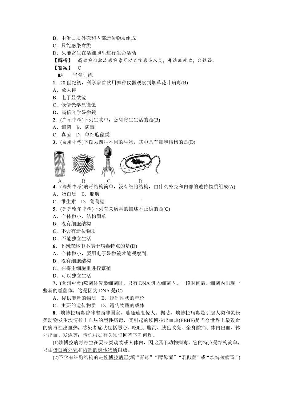 人教八年级生物上册第五章病毒1第五章病毒.doc_第2页