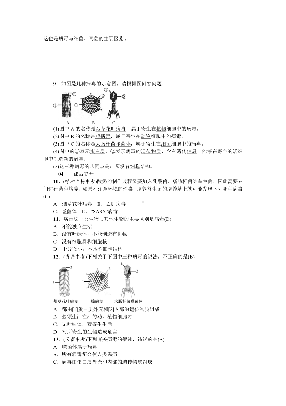 人教八年级生物上册第五章病毒1第五章病毒.doc_第3页