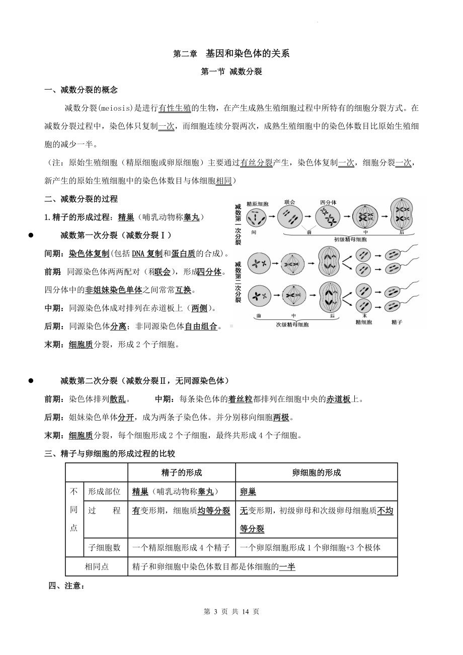 人教版（2019）高中生物必修二《遗传与进化》重要考点复习提纲（实用！）.docx_第3页