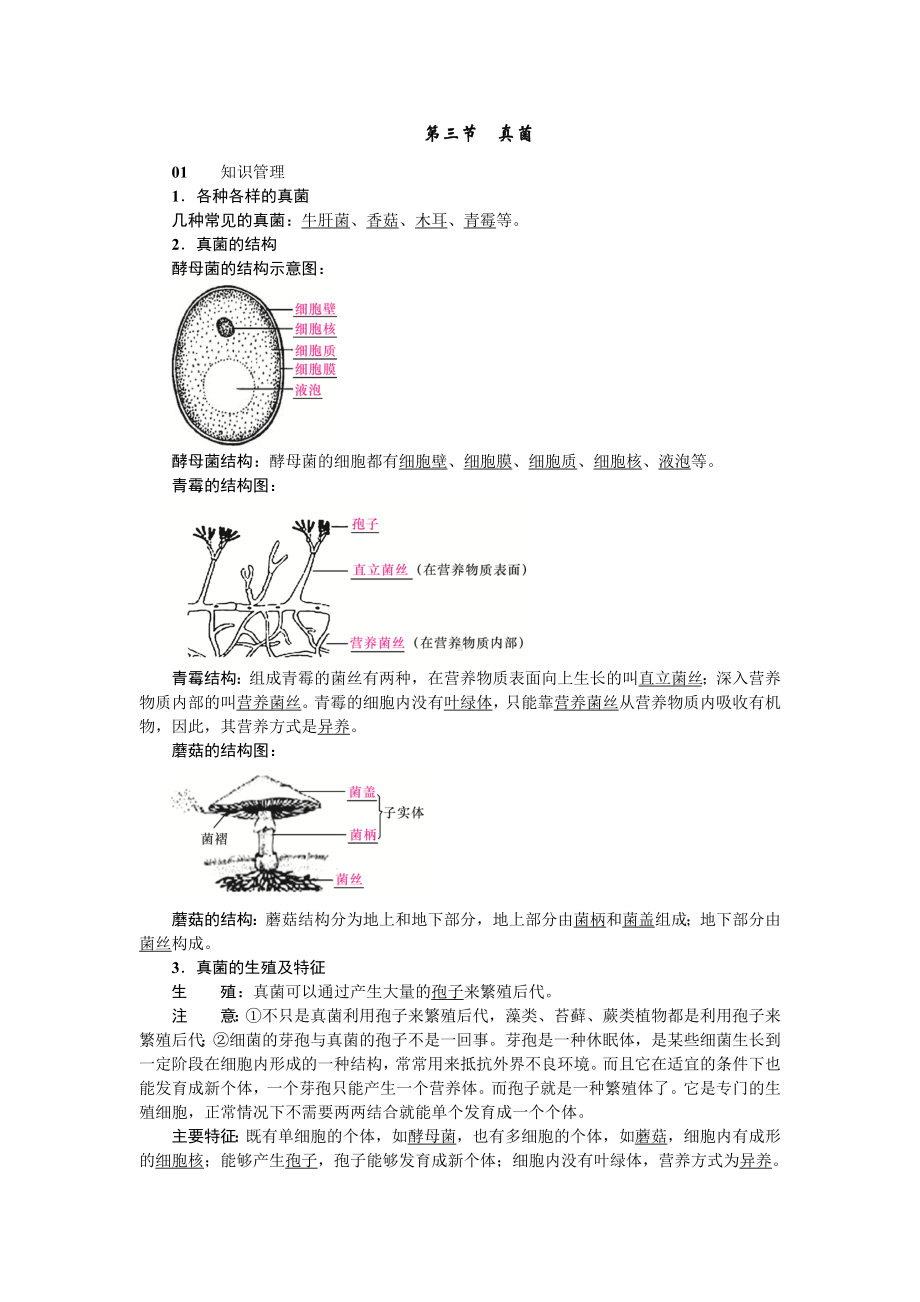 人教八年级生物上册第四章细菌和真菌3第三节真菌.doc_第1页