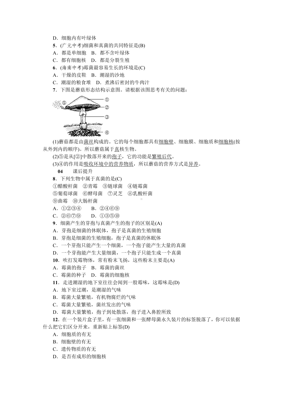 人教八年级生物上册第四章细菌和真菌3第三节真菌.doc_第3页