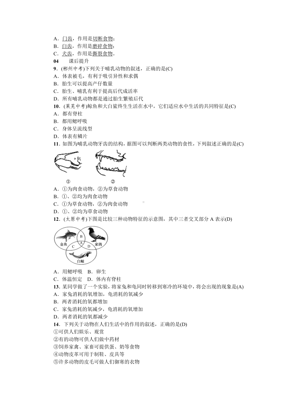 人教八年级生物上册第一章动物的主要类群7第七节哺乳动物.doc_第3页