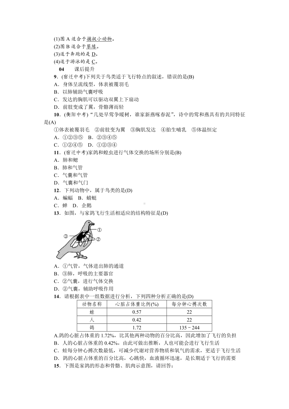 人教八年级生物上册第一章动物的主要类群6第六节鸟.doc_第3页