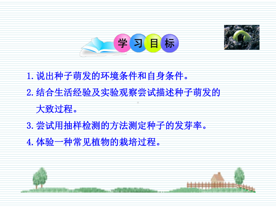 （公开课）种子的萌发课件.ppt_第3页