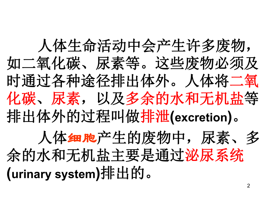 七年级下册生物第五章《人体内废物的排出》课件.ppt_第2页