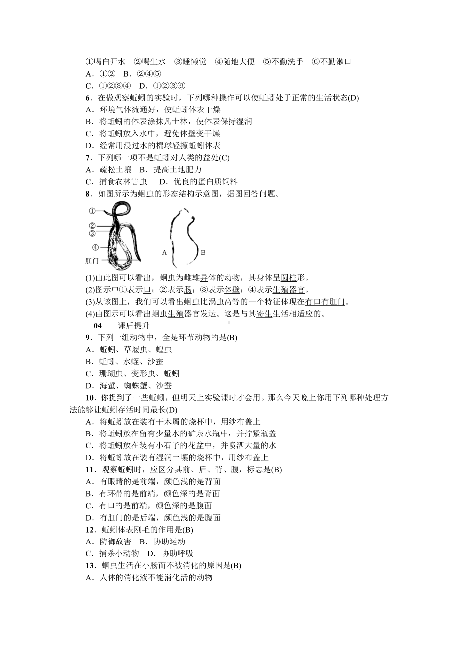 人教八年级生物上册第一章动物的主要类群2第二节线形动物和环节动物.doc_第3页