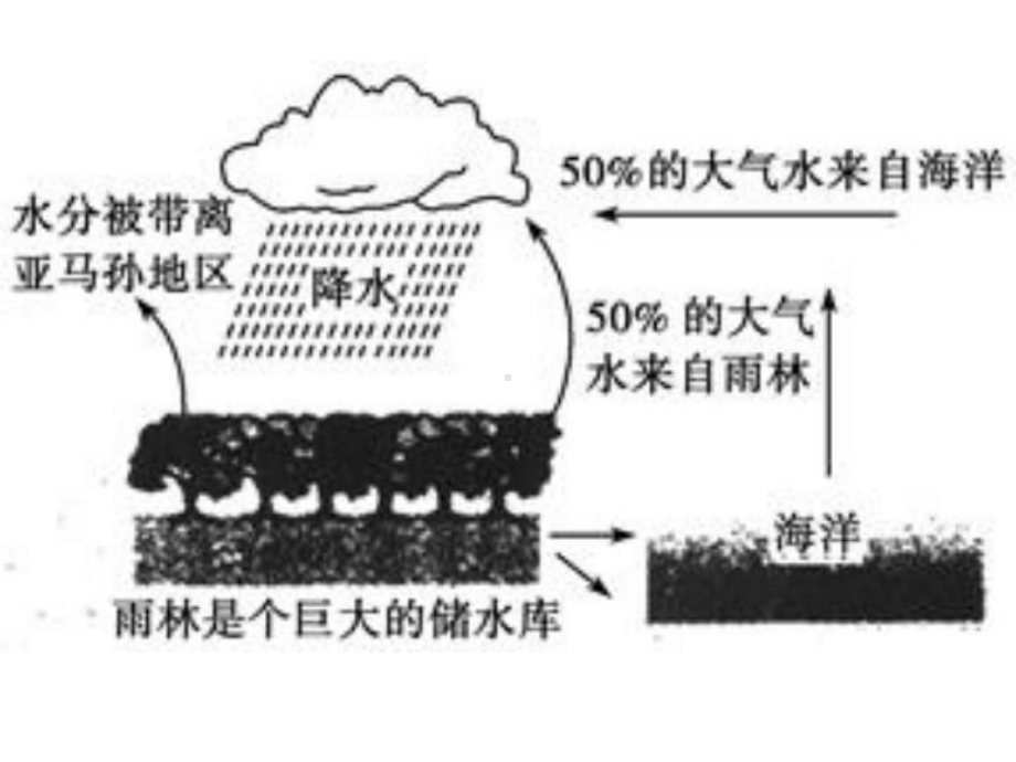 中图版高二地理期末复习-第二章课件.ppt_第3页