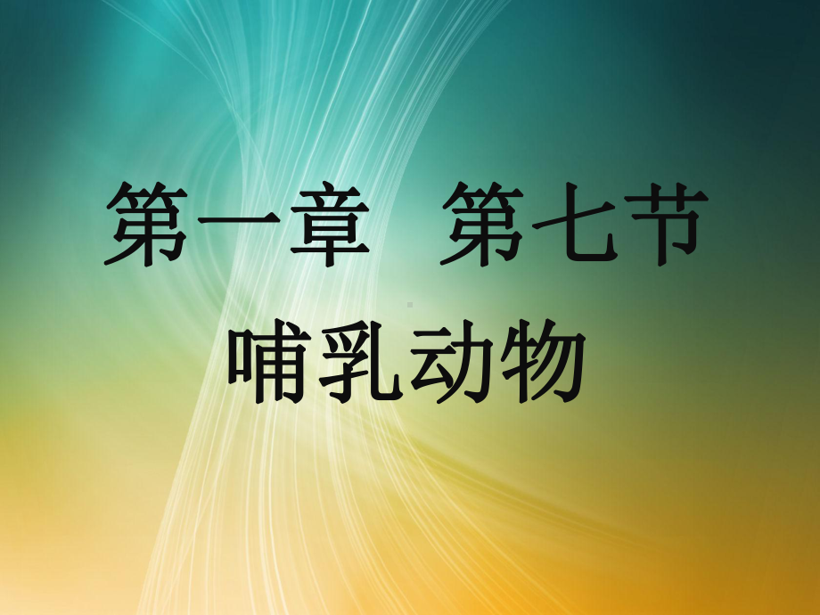 人教八年级生物上册第一章动物的主要类群第七节哺乳动物.pptx_第1页