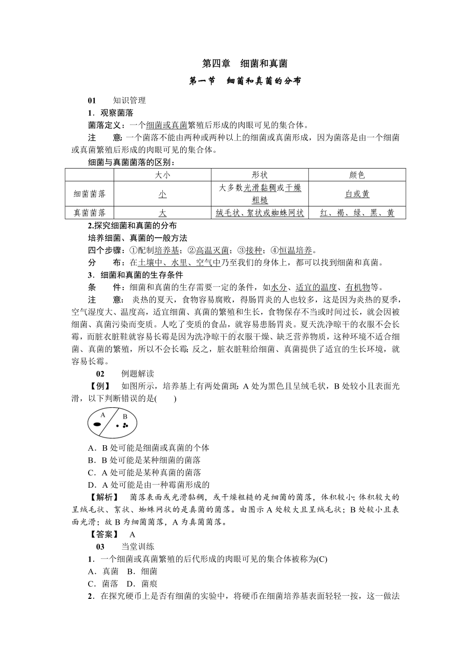 人教八年级生物上册第四章细菌和真菌1第一节细菌和真菌的分布.doc_第1页