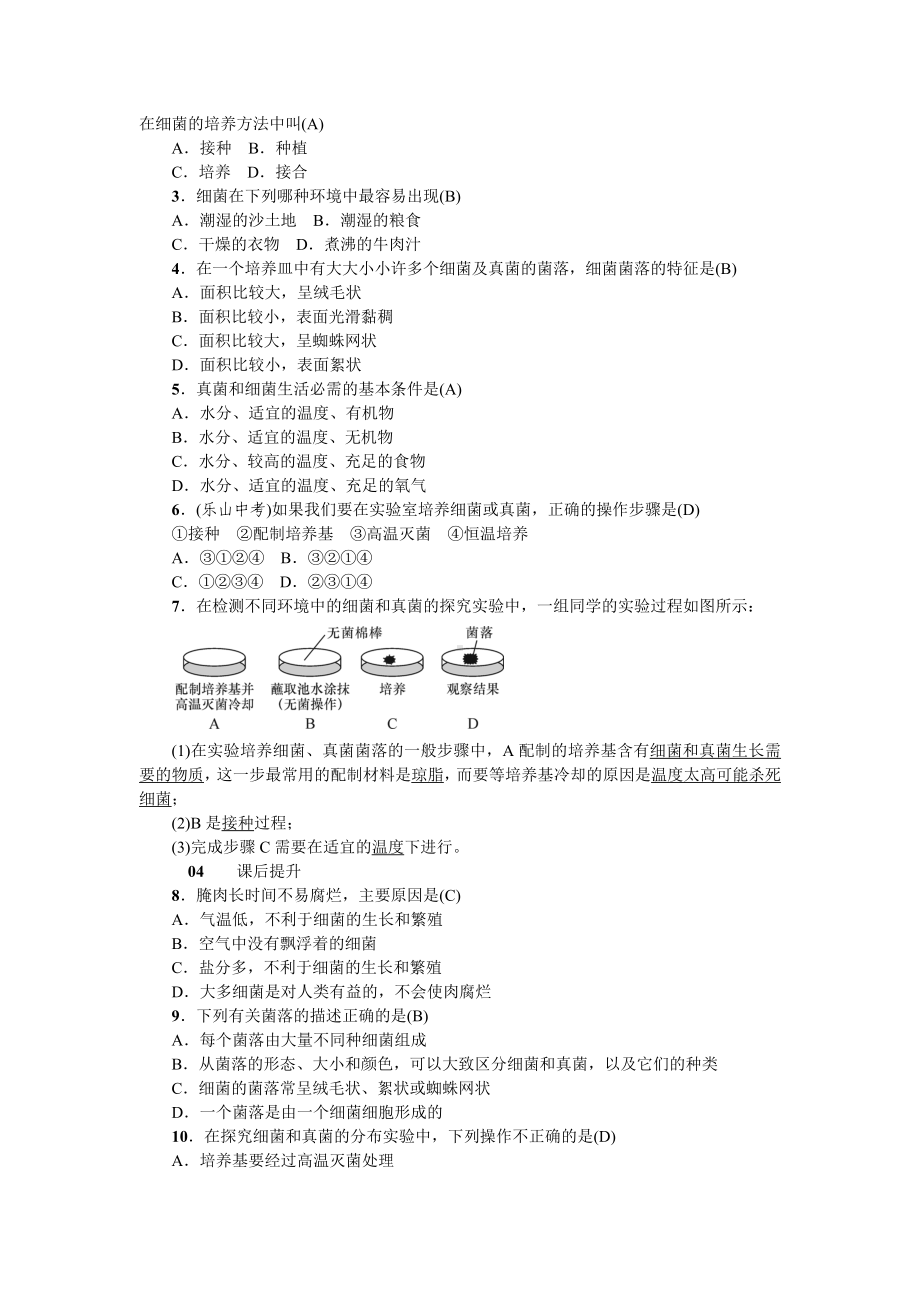 人教八年级生物上册第四章细菌和真菌1第一节细菌和真菌的分布.doc_第2页