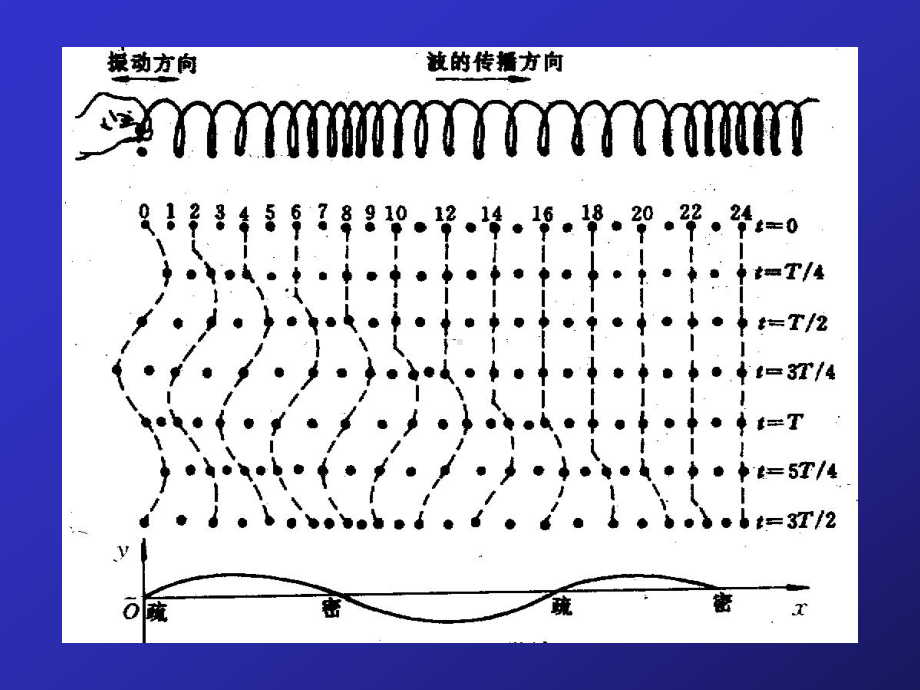 中山大学课件-普物-波动.ppt_第3页