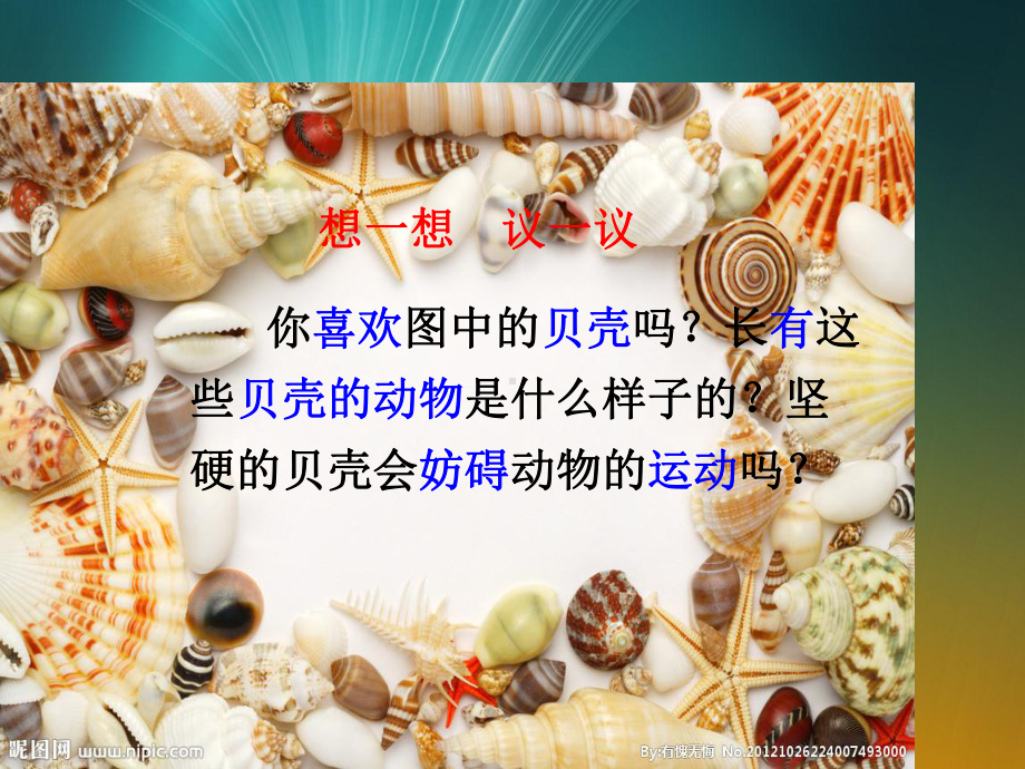 人教八年级生物上册第一章动物的主要类群第三节软体动物和节肢动物.pptx_第2页