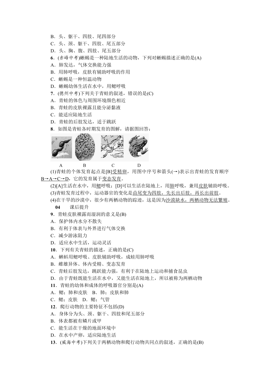 人教八年级生物上册第一章动物的主要类群5第五节两栖动物和爬行动物.doc_第3页