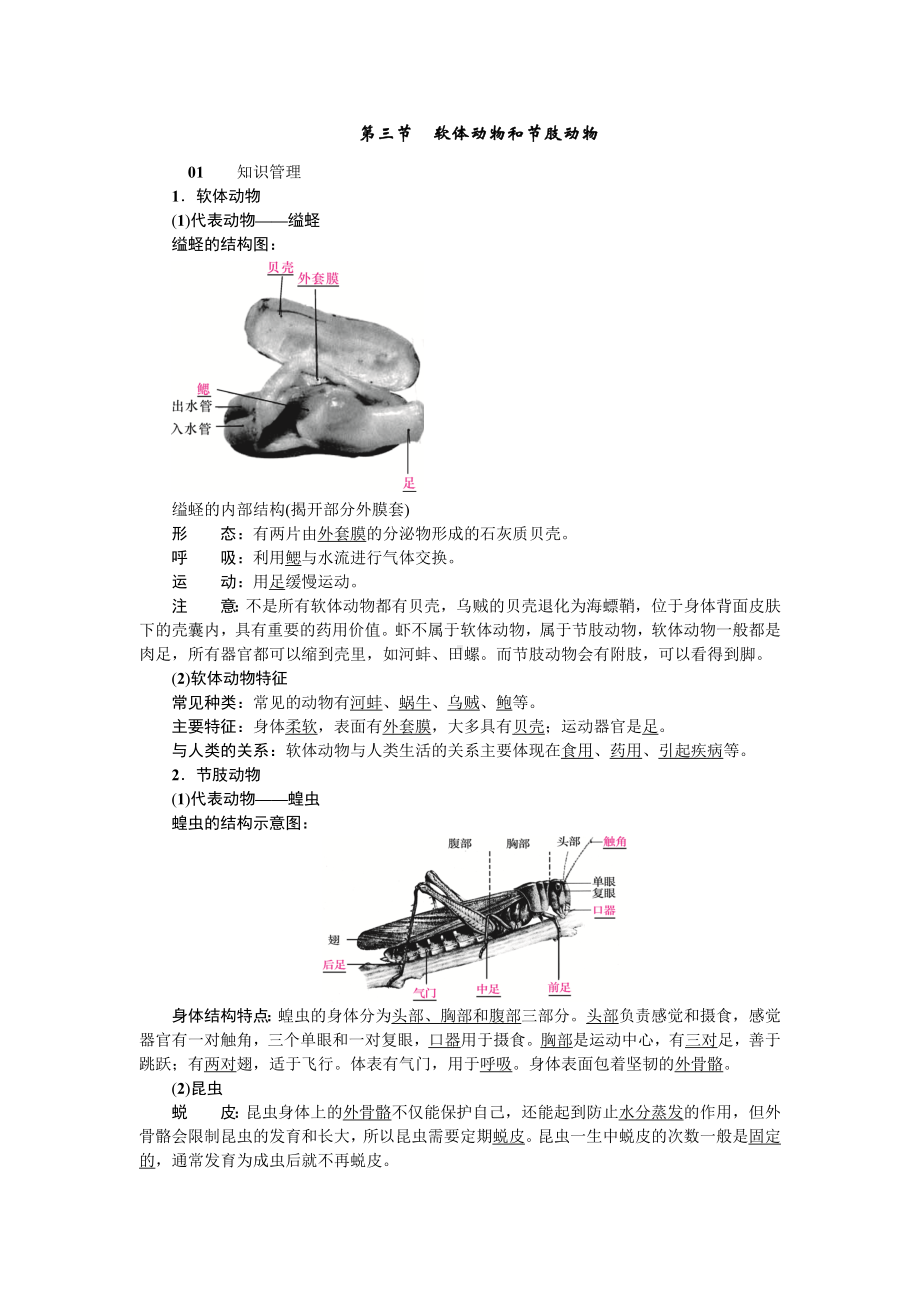 人教八年级生物上册第一章动物的主要类群3第三节软体动物和节肢动物.doc_第1页