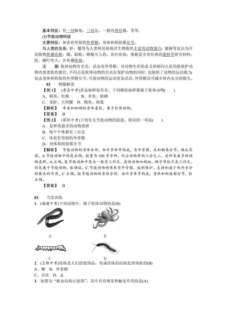 人教八年级生物上册第一章动物的主要类群3第三节软体动物和节肢动物.doc_第2页