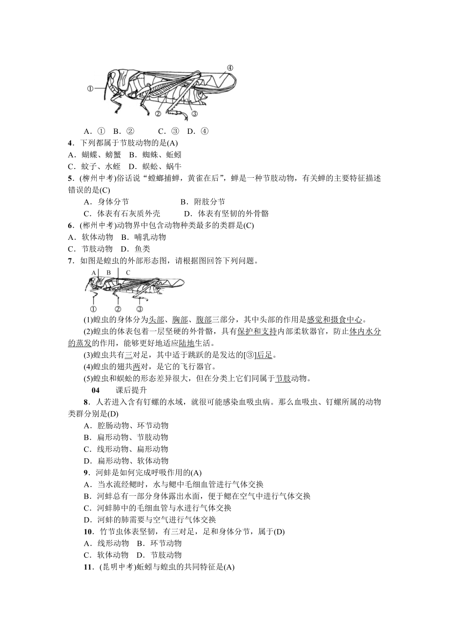 人教八年级生物上册第一章动物的主要类群3第三节软体动物和节肢动物.doc_第3页