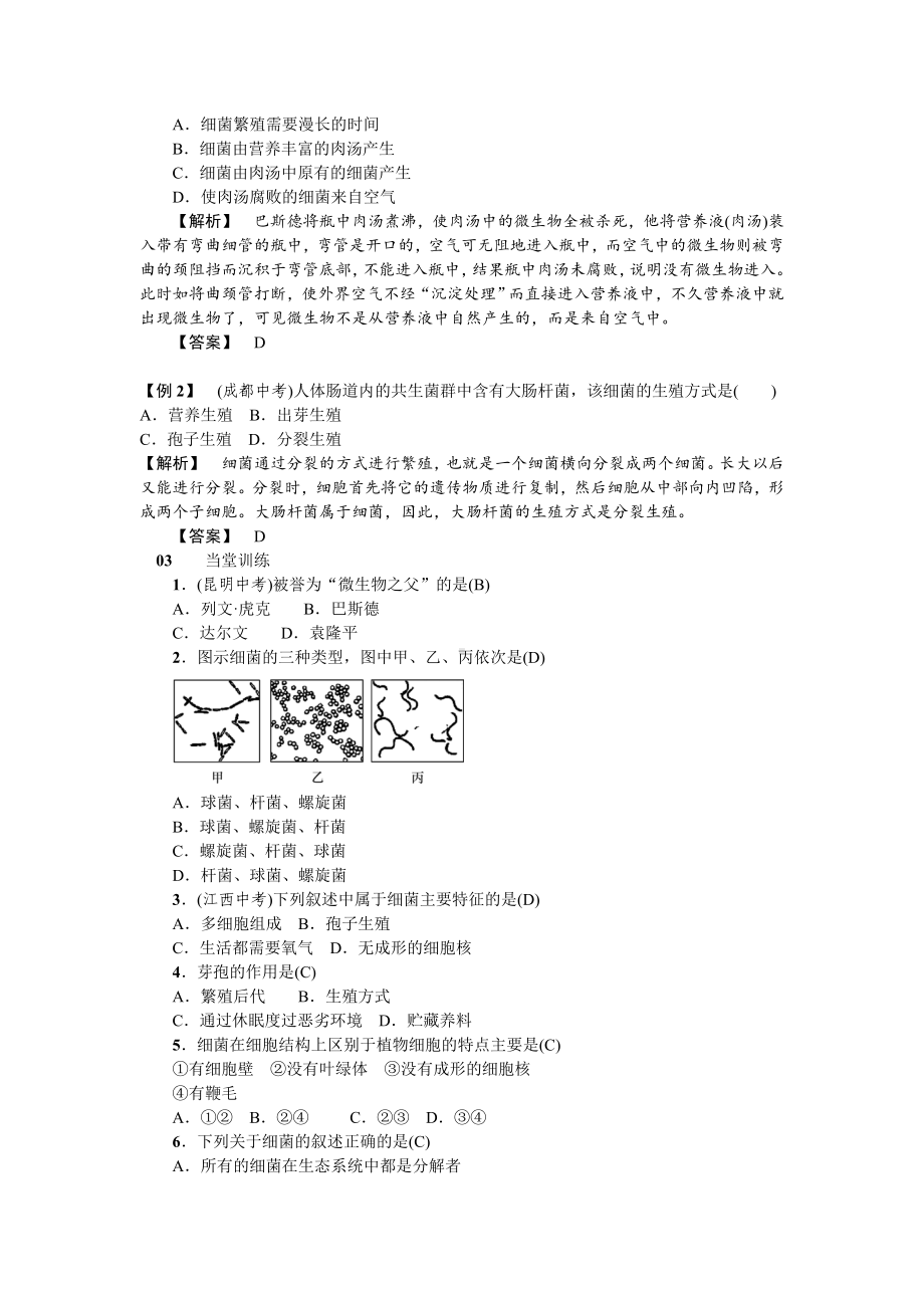 人教八年级生物上册第四章细菌和真菌2第二节细菌.doc_第2页